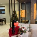 스테이 이브 | 경주 황리단길 한옥 풀빌라 &#39;라안 스테이&#39; 내돈내산 솔직후기