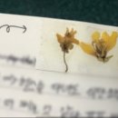 버거킹 동김해DT점