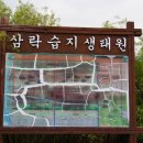 삼락초등학교 이미지