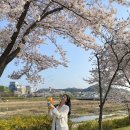 [유성|대흥동] 사촌들과 3년만에 접선 #220409 #유림공원 #피크닉 #꽃구경 #드블랑 #목구멍