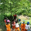 난향동-8 이미지