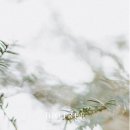 빅트리(Bigtree) 네이버블로그