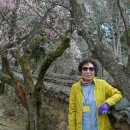 순천향매실마을 이미지