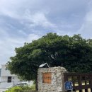 누디맨션 이미지