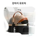 진동애견 | 고양이와 강아지 모두 편안한 레토 프리미엄 애견 카시트 상세후기