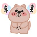 펫 소울 메이트 이미지