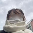 은희네해장국노형점 | 제주 은희네해장국 노형점 소고기해장국 맛집 내돈내산 후기