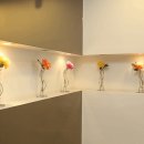 서울샤치과교정과치과의원 이미지