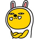 돌핀수상레져
