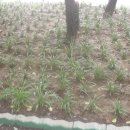 에덴어린이공원 이미지