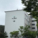 투더펫 | 양양 애견동반 여행 더앤리조트 펫룸 후기