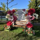 도란유치원 이미지