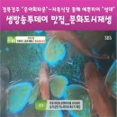 은아회식당 이미지