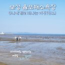 보성카부분정비 | 국내 여름휴가지 추천, 보성 율포해수욕장 물때 갯벌체험 어때?