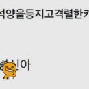 내향인을 이해하는데 4년이 걸린 외향인 이미지