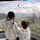 두류공원로 | 대구 이월드 당일치기 가족여행 추천 할로윈 불꽃 축제 불꽃쇼 명당 자리 솔직 방문 후기