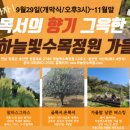 하늘빛 이미지