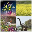 2024년 화순 꽃강길 버스킹 | 2026년 전남 화순 봄꽃 축제 전 미리 다녀온 꽃강길! 축제 정보 및 주차 현장 분위기