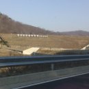 한계리낚시터 이미지