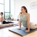 빈야사요가c 이미지