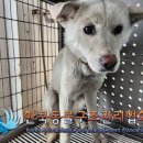 옥정숲속어린이집 이미지