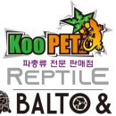 쿠펫