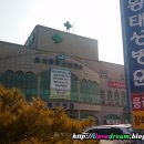 태성동물병원 이미지