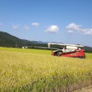유기전환 무농약 쌀 이미지
