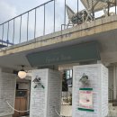 공상 | 행궁동 카페 고드브타운 후기 (ft. 공상라떼 존맛)
