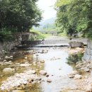 흥부네전골 이미지