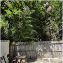 구길가옥 이미지