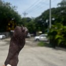 모닝마트 앞 | 세부 자유여행 1일차 **오아시스 0.5박 입국팩/ 모닝글로리** 내돈내산 솔직후기