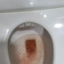 엘소리