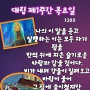 2024-12-05대림 제1주간 목요일＜아버지의 뜻을 실행하는 이라야 하늘 나라에 들어간다.＞ 이미지