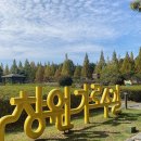 모란파크 | 창원 가로수길 스펀지 파크 청년 춤 페스티벌 [ 춤, 접 ] 센트썬캐쳐 체험 더모란캔들