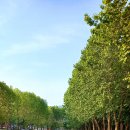 양재시민의 숲 5번 출구 앞 이미지