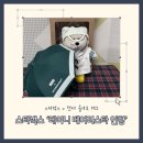 인형헌터 | 스타벅스 레이니 MD 베어리스타 인형 헌터 콜라보 실물 내 돈 내산 후기