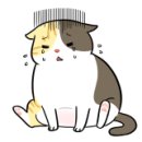 호산여성의원 이미지