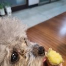 아방스커피