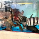 이순신광장로 이미지