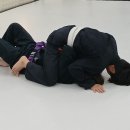 레드비 - 동구 | 천안 주짓수 두정동 백석동 성정동 신부동 직장인도 즐겁게 다니는 팀레드비 우리주짓수 후기