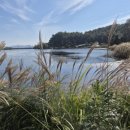 서검저수지 이미지