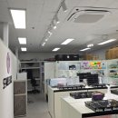 (주)오가 | 화성파충류 부천파충류샵 오구이뽀 도마뱀에 다녀온 내돈내산 후기