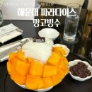 애플호텔 | 부산 해운대 파라다이스 호텔 애플 망고빙수 가격 후기