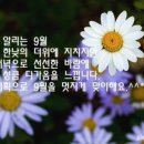 화요일