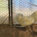 청계3로 이미지