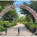 포레스트 카라반 랜드 이미지