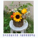 와석초교(병설) | 부산 와석초병설 가을원예체험학습 수업후기