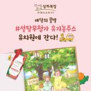 꿀벌유치원 이미지