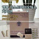 하나센 | 오래 앉아있는 직장인의 말 못할 고민 해결! 영롱 이스트바이오틱스 치지센 섭취 후기(치지센유산균 추천)